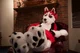 Redskihusky Fursuit 