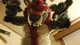 Tabasco Fursuit 