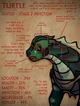 Infected Turtle Wof