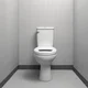 A random toilet