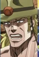 Hol horse