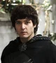 Sir Mordred