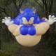 Fat Sonic Hunt