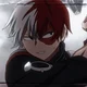 Shoto Todoroki 