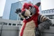 Tabasco Fursuit 