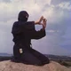 Ninjutsu Sensei