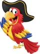 Parrot pirate 