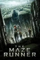 Maze Runner