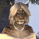 Khajiit Wife