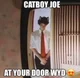 joe hawley catboy