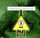 Bill Cipher