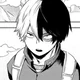 MHA Shoto Todoroki