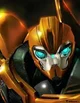 Bumblebee 