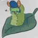 Pet howdy