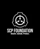 -02- SPC Foundation