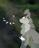 Scourge x ashfur