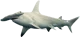 Hammerhead Shark