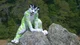 Fiberkitty Fursuit 