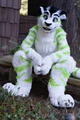 Fiberkitty fursuit
