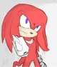 Knuckles The Echidna