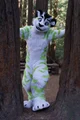 Fiberkitty Fursuit 