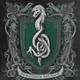 Slytherin boys