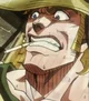 Hol horse