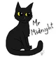 Mister Midnight RPG 