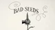 Bad Seeds