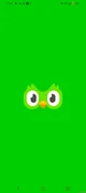 Duolingo 