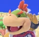 Bowser Jr