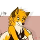 Deni Dingo