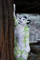Fiberkitty fursuit