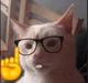 Mr cat