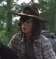 Carl grimes