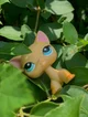 Baby Lps