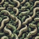 Snake Army