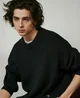 Timothée Chalamet 