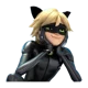 Cat Noir 
