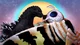 Godzilla x Mothra