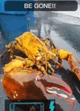 BE GONE