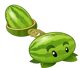 melon-plut
