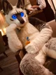 Tommy wolf Fursuit 