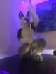 Tommy wolf fursuit