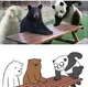 We bare bears