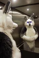 Tommy wolf fursuit