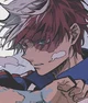 Shoto Todoroki