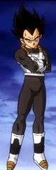 Vegeta Jr DBS 
