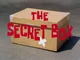 Secret Box -Furry-