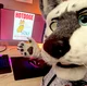 Tommy wolf Fursuit 